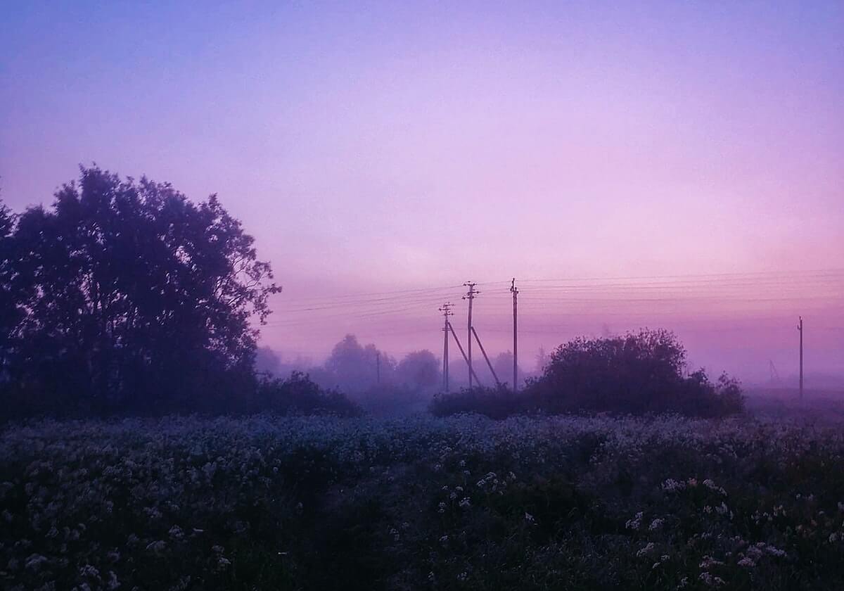 77图库-生成图表-导出模板，图片七一